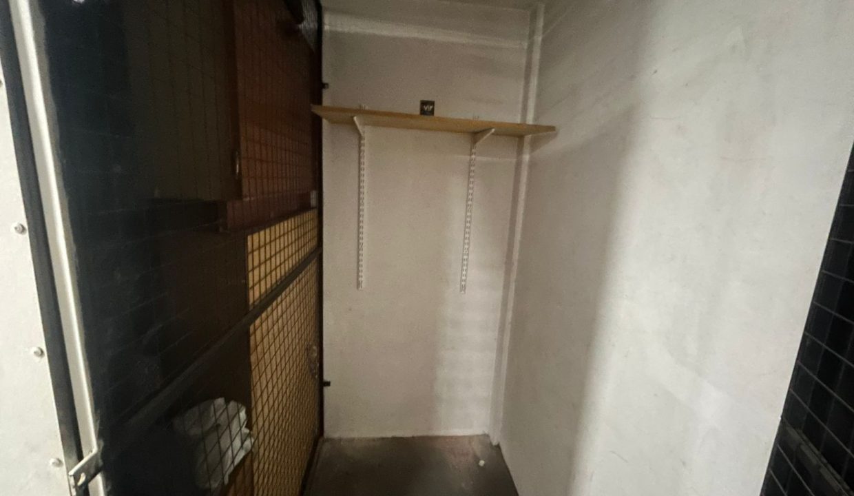 WhatsApp Image 2025-11-13 at 16.04.18 (3)