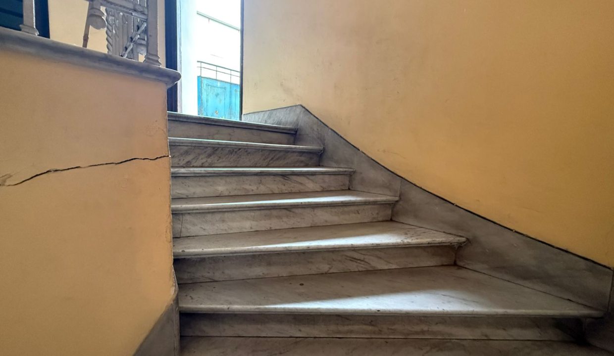 WhatsApp Image 2026-01-09 at 12.37.41 PM