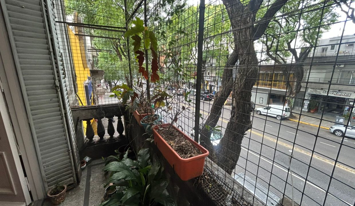 WhatsApp Image 2026-02-23 at 12.08.41